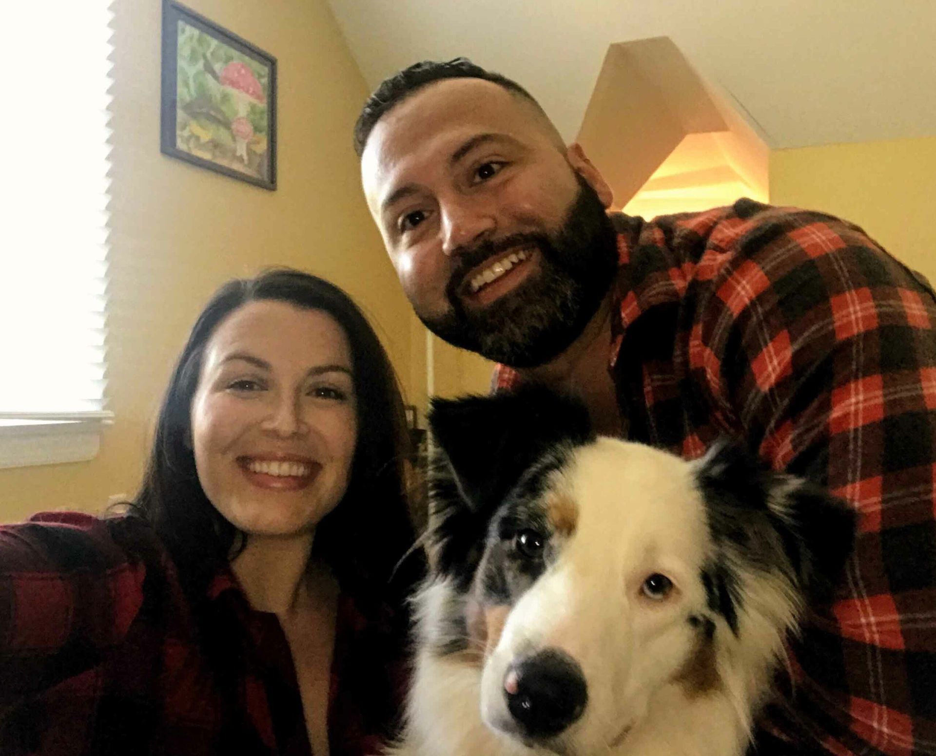 American Alpha K9 Training