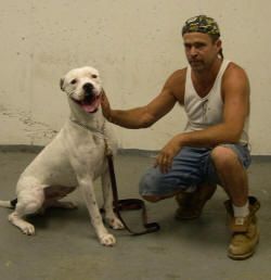 American Alpha K9 Training