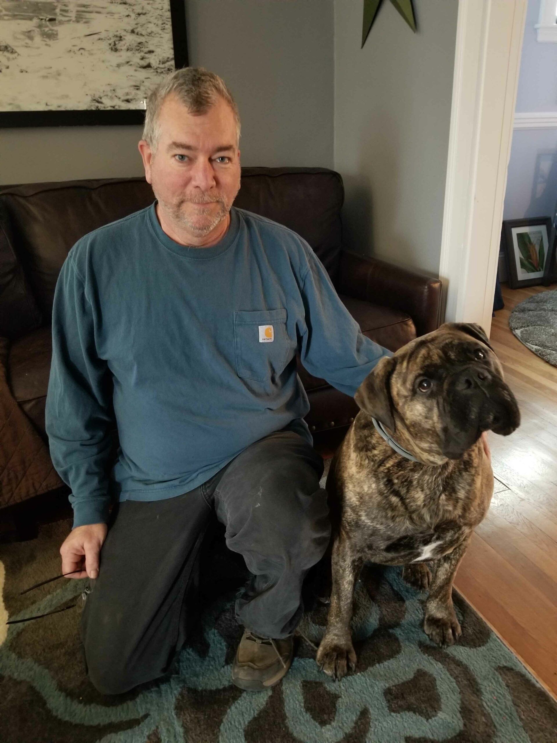 American Alpha K9 Training