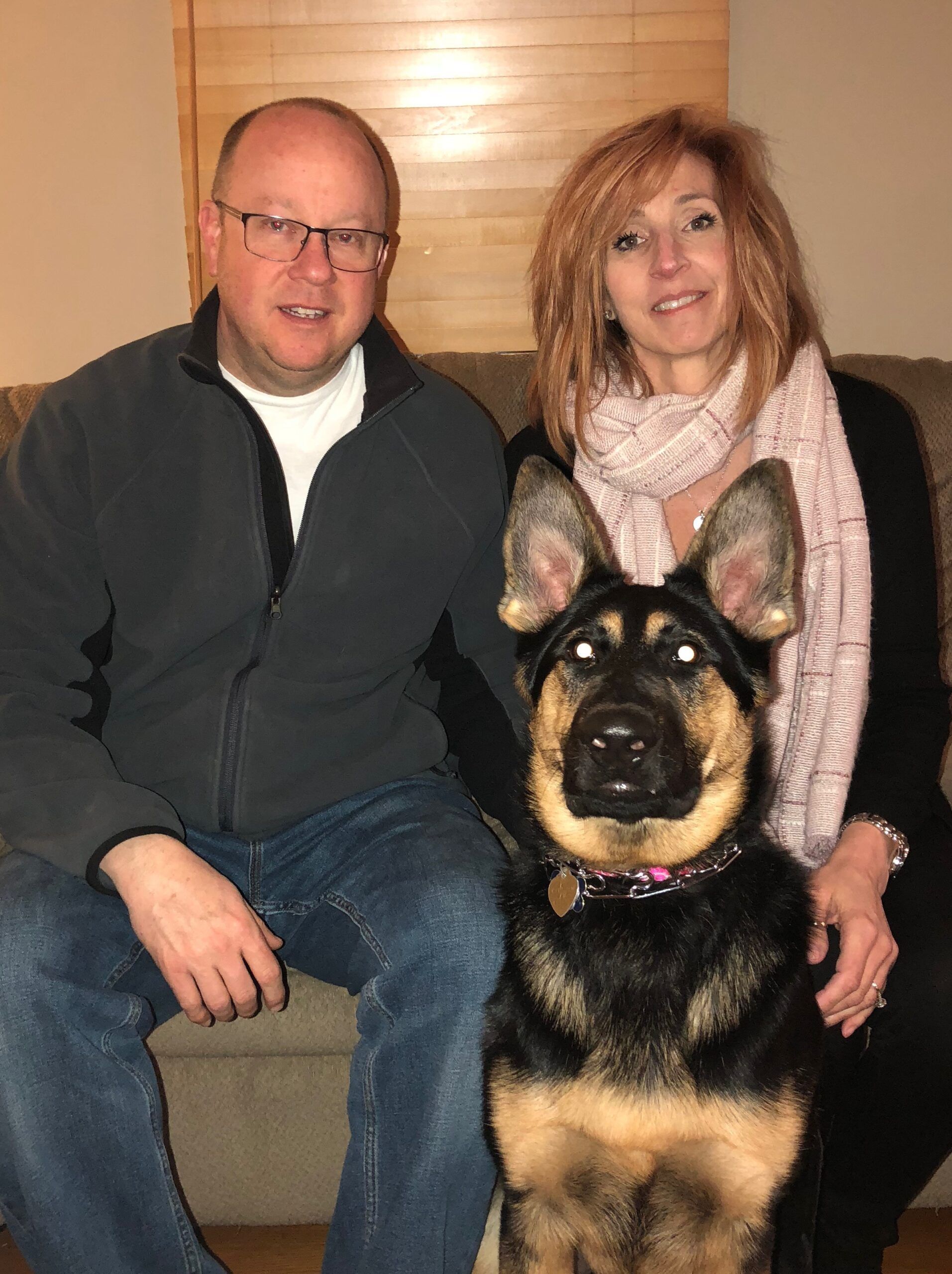 American Alpha K9 Training