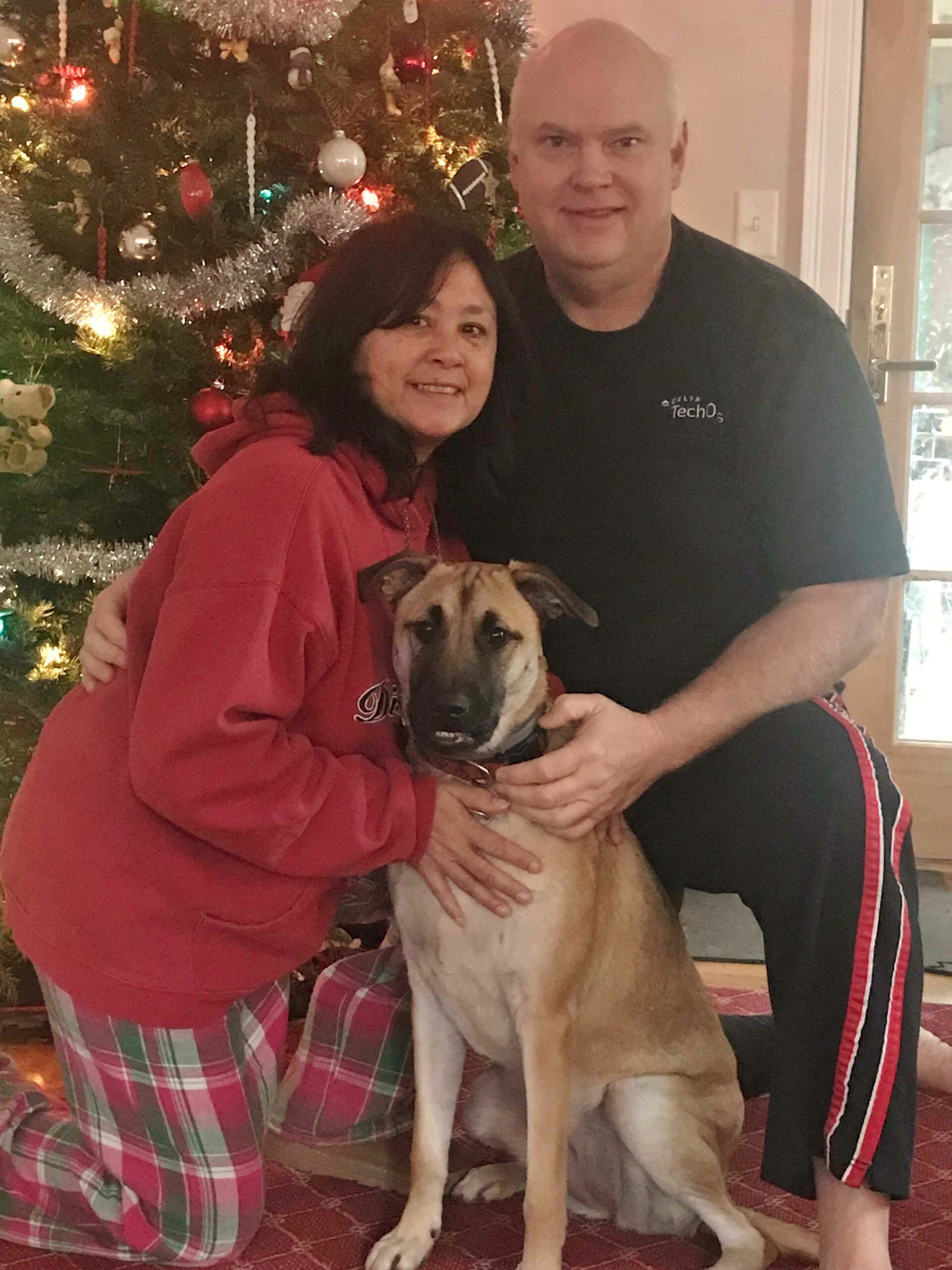 American Alpha K9 Training