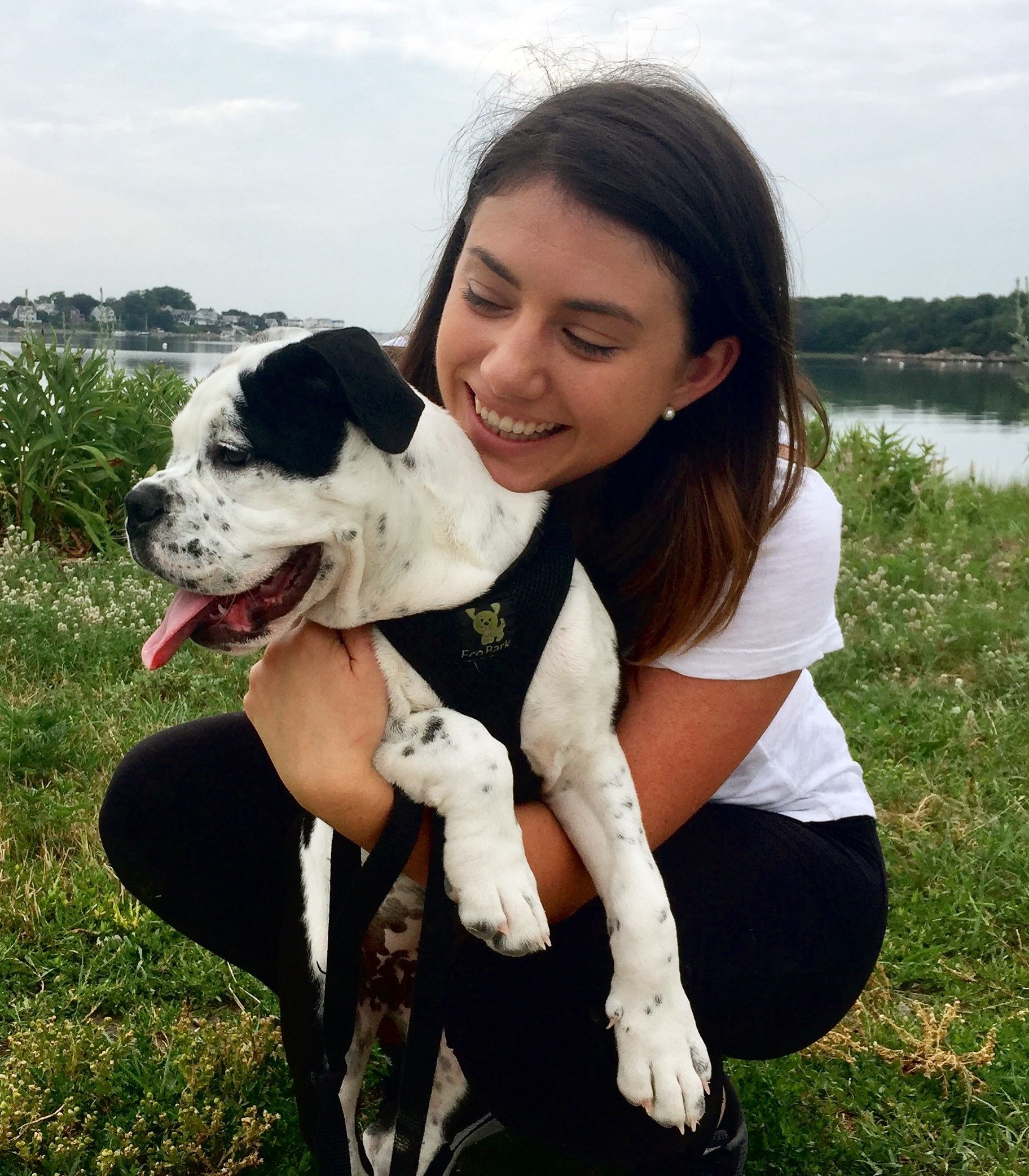 American Alpha K9 Training