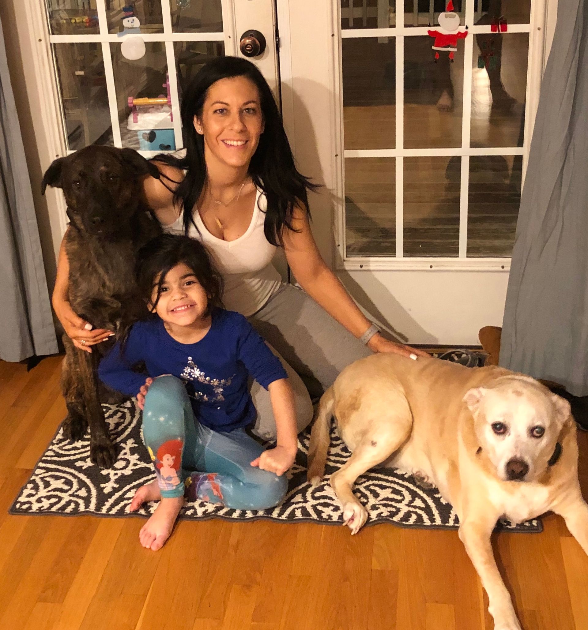 American Alpha K9 Training