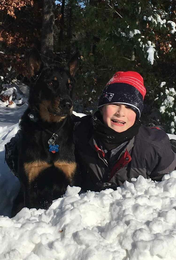 American Alpha K9 Training