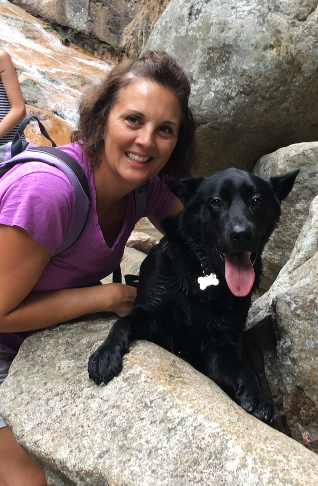 American Alpha K9 Training