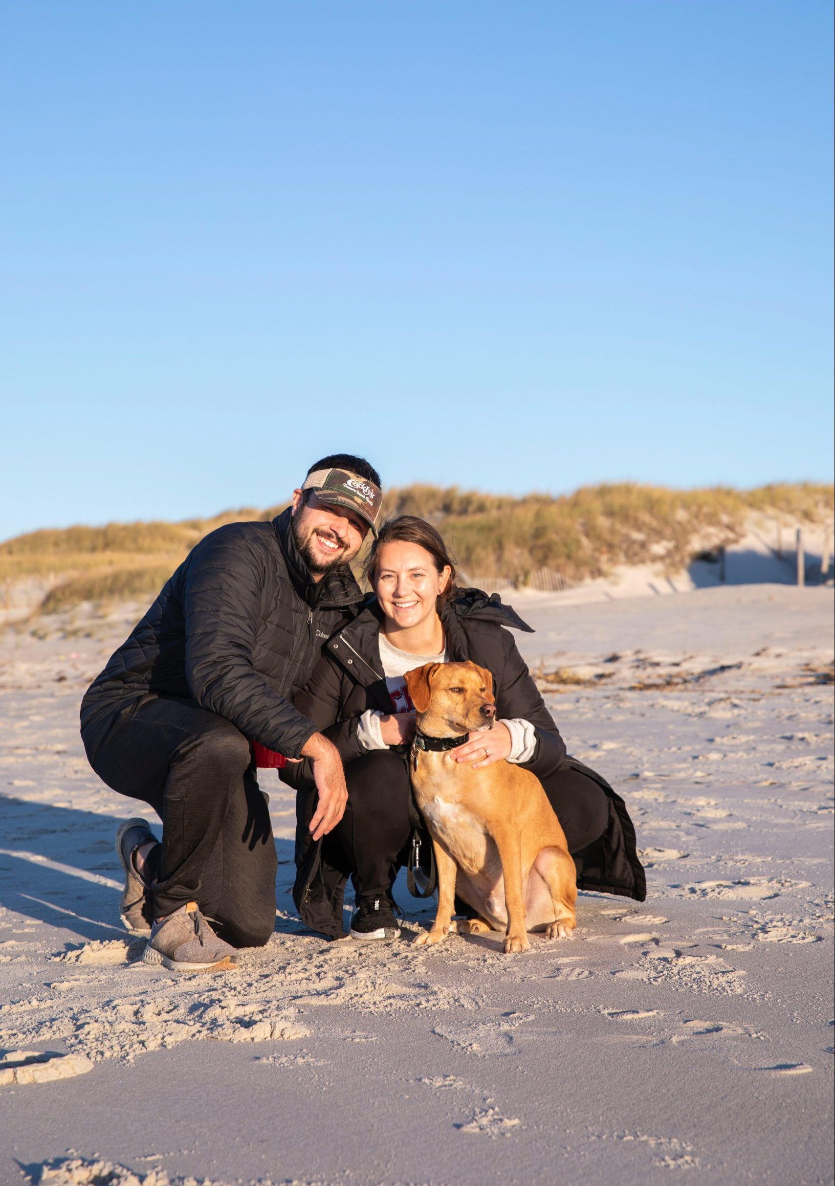 American Alpha K9 Training