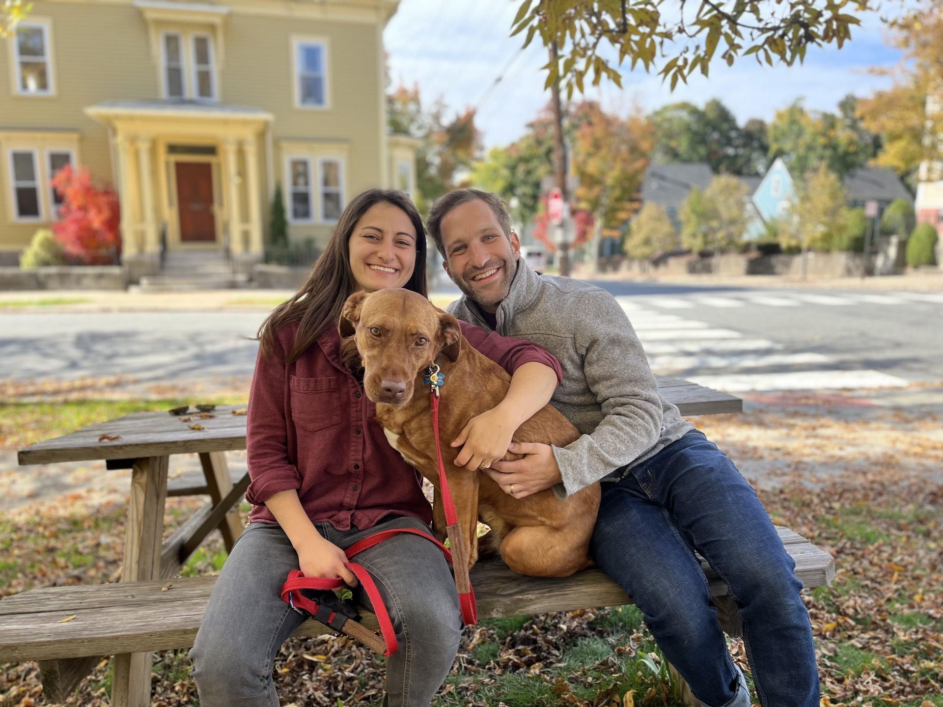 American Alpha K9 Training