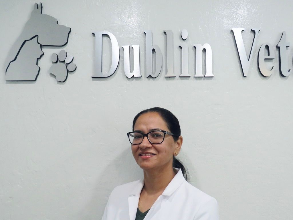 A woman is standing in front of a dublin vet sign