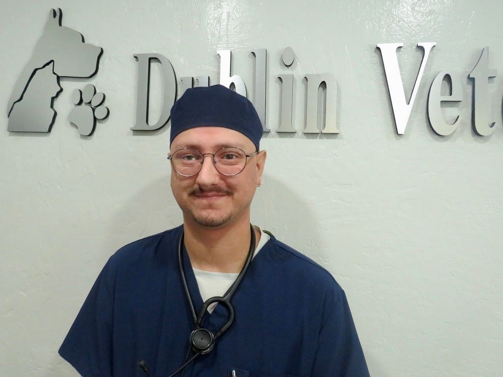 A man with a stethoscope around his neck is standing in front of a sign that says ' dublin vet '