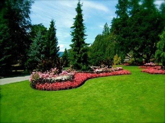 Green lawn with a flower bed of red flowers and evergreens under a bright blue sky.
