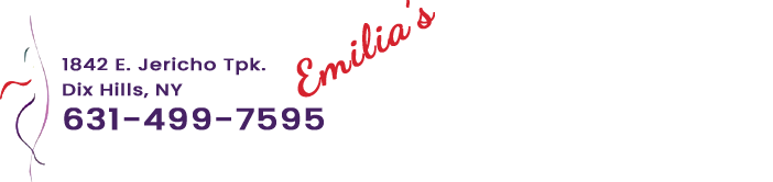 Emilia's NY Studio of Dance Inc-Logo