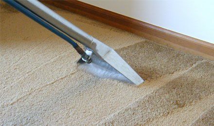 The Best Carpet Cleaners to Buy in 2021 - MYMOVE