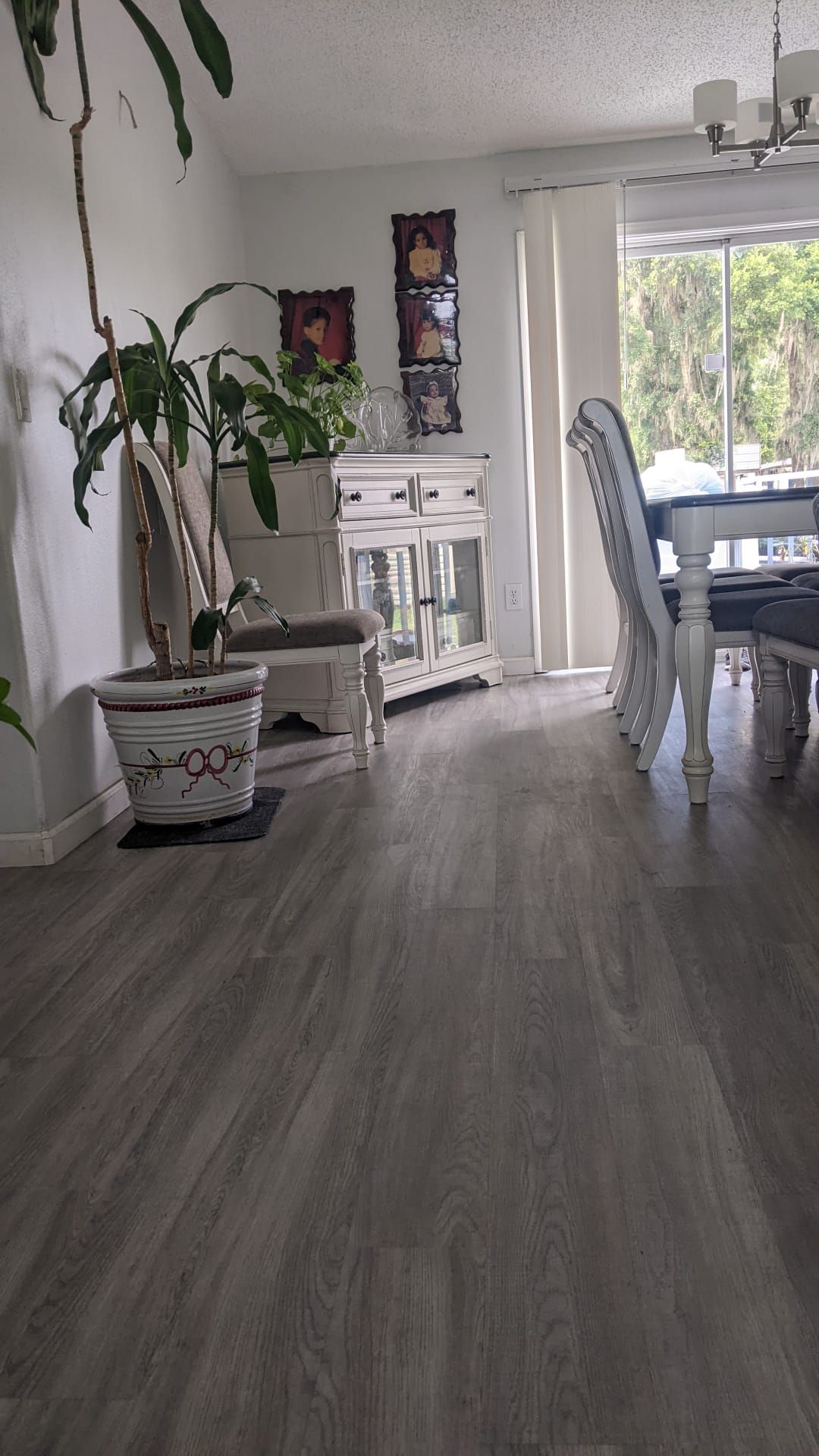 A living room with a dining table and chairs and a plant.