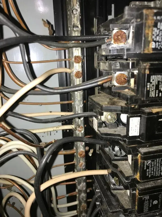 Corrosion in service panel
