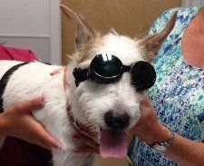 laser therapy