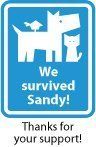 We Survived Sandy