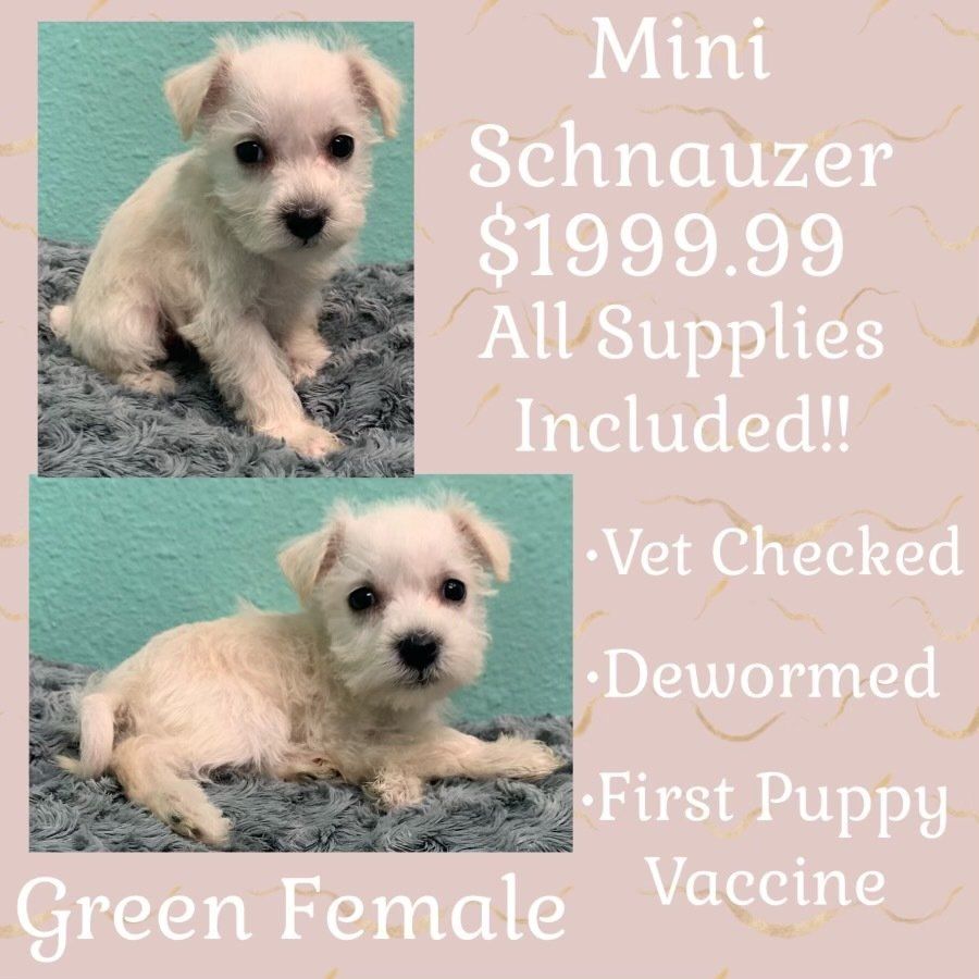 Partners Pet Center Pet Store Round Rock, TX