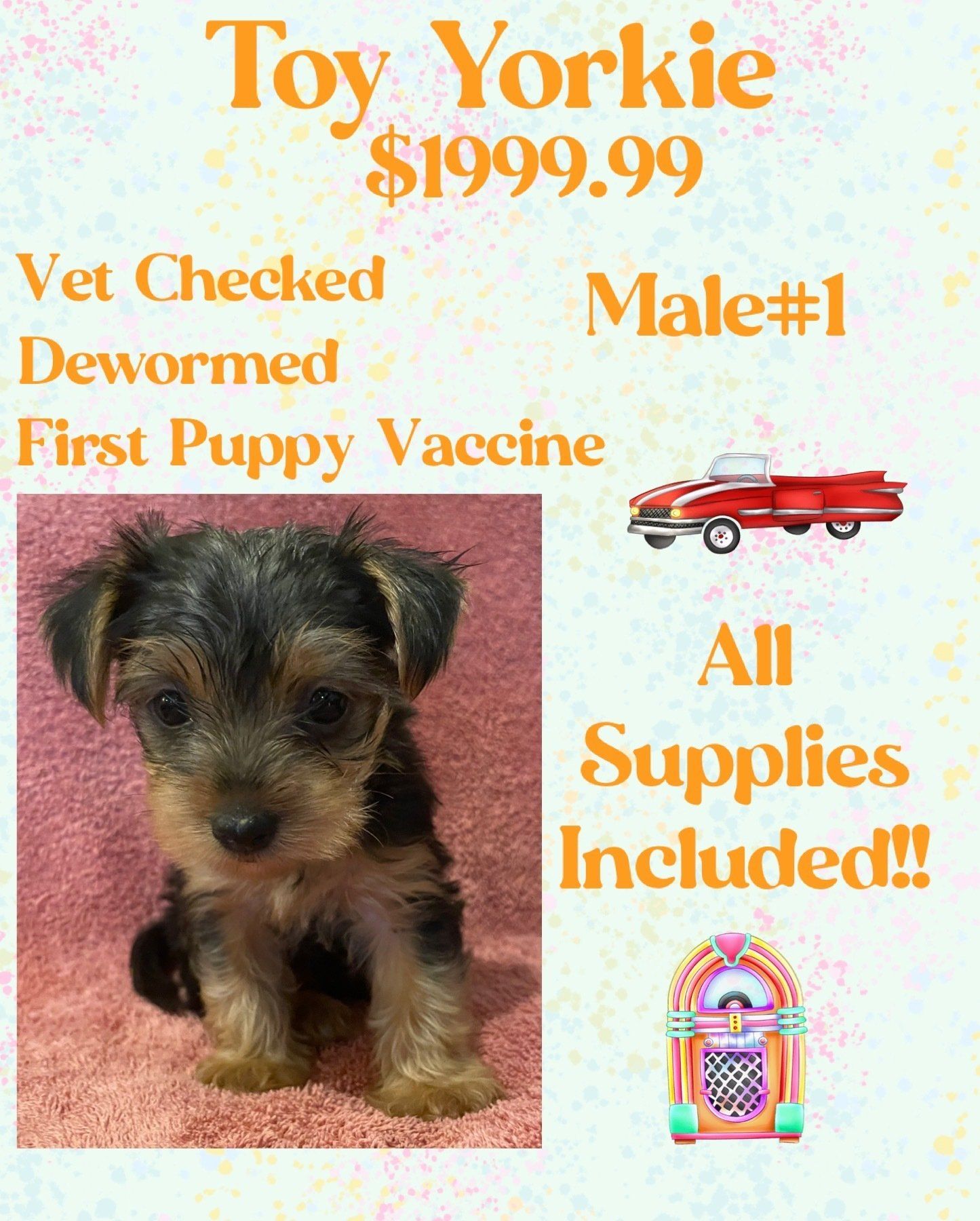 A toy yorkie puppy is for sale for $ 199.99.