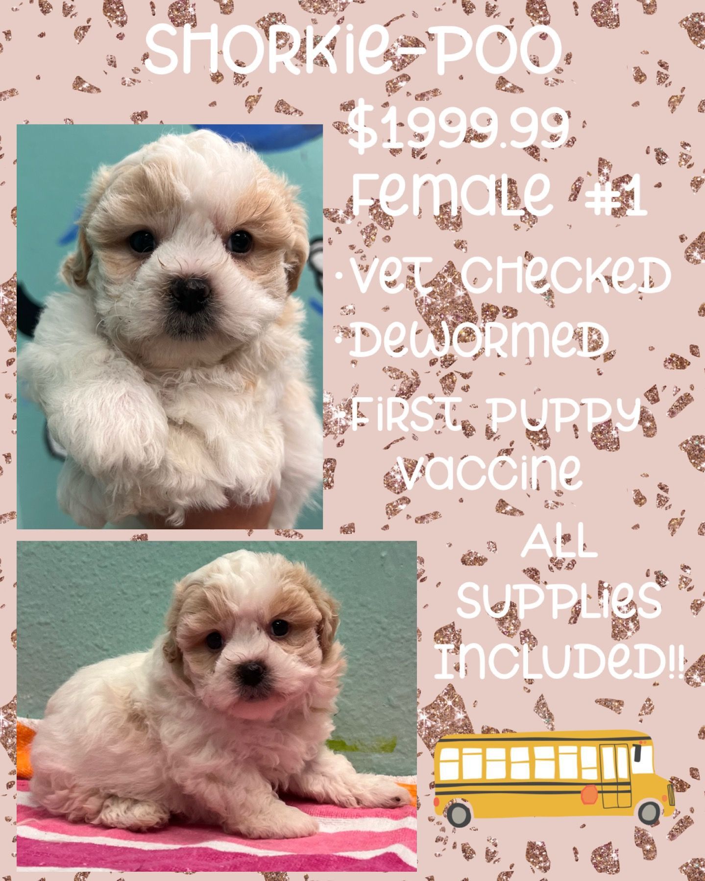 A picture of a puppy with a school bus in the background