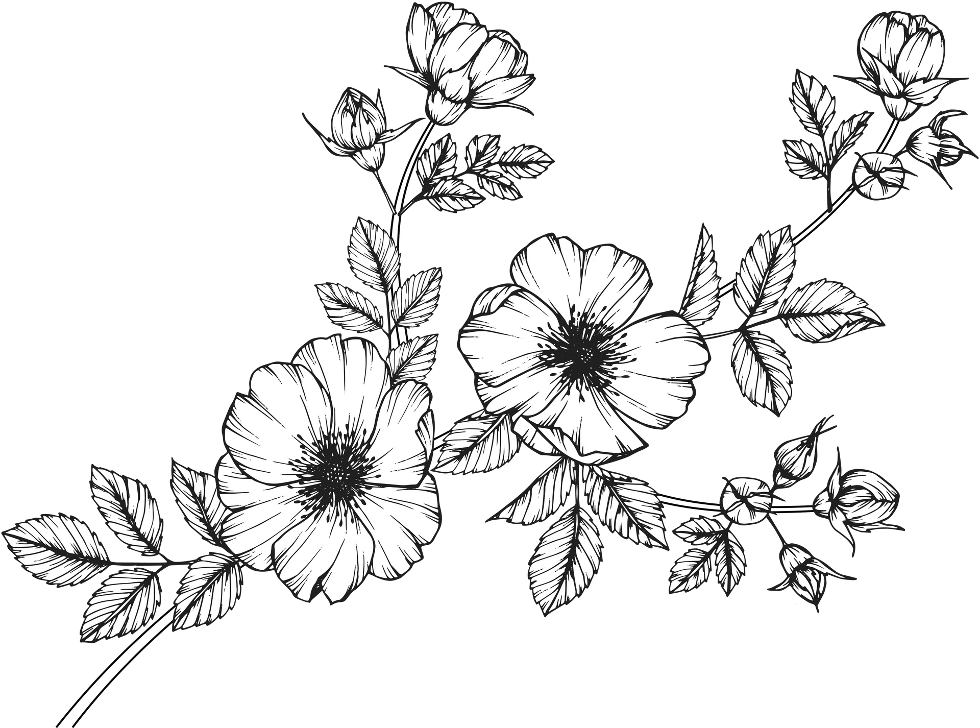 Flower Background