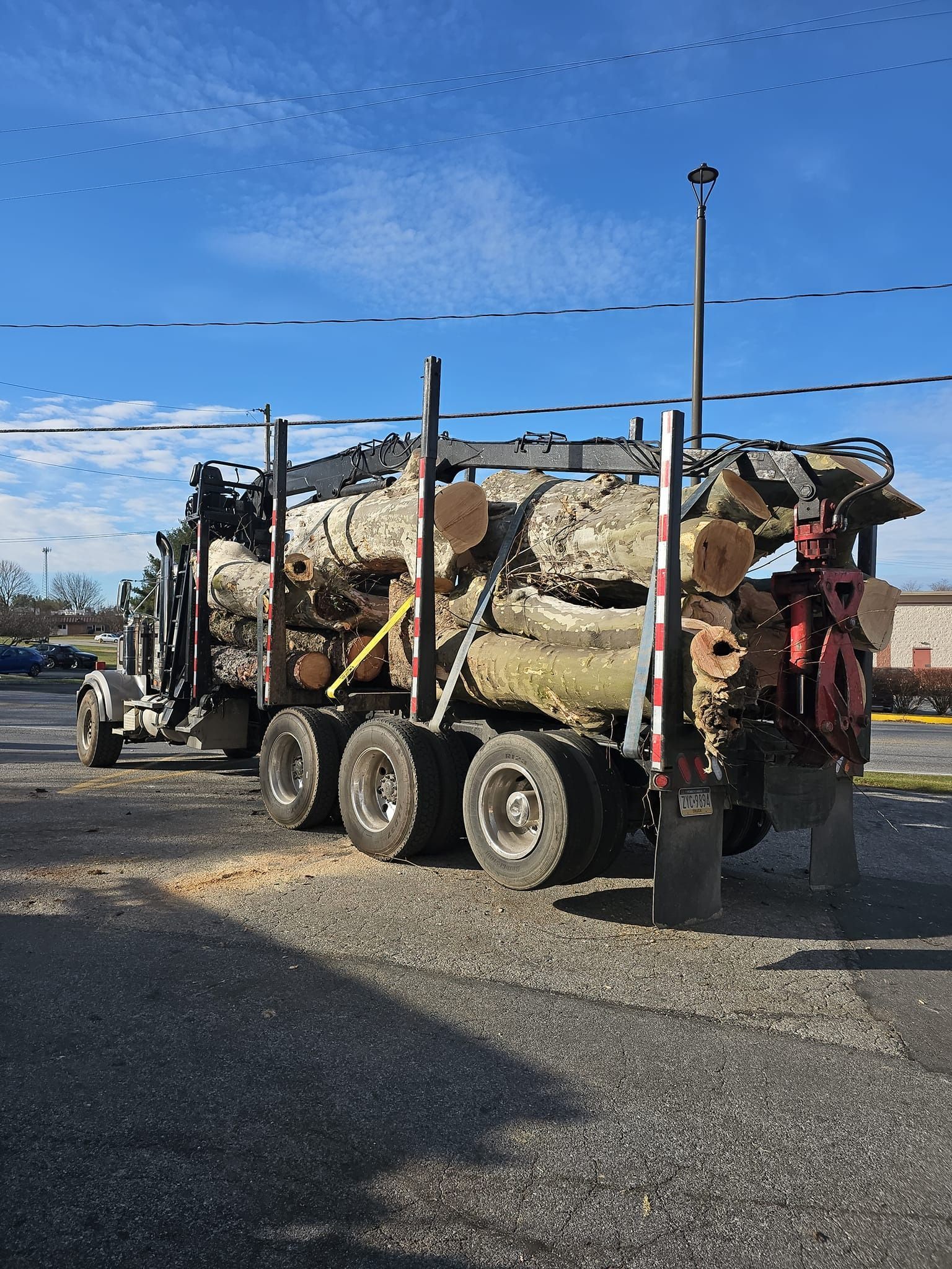 Log truck loaded with large tree logs parked outside, bright sky above.