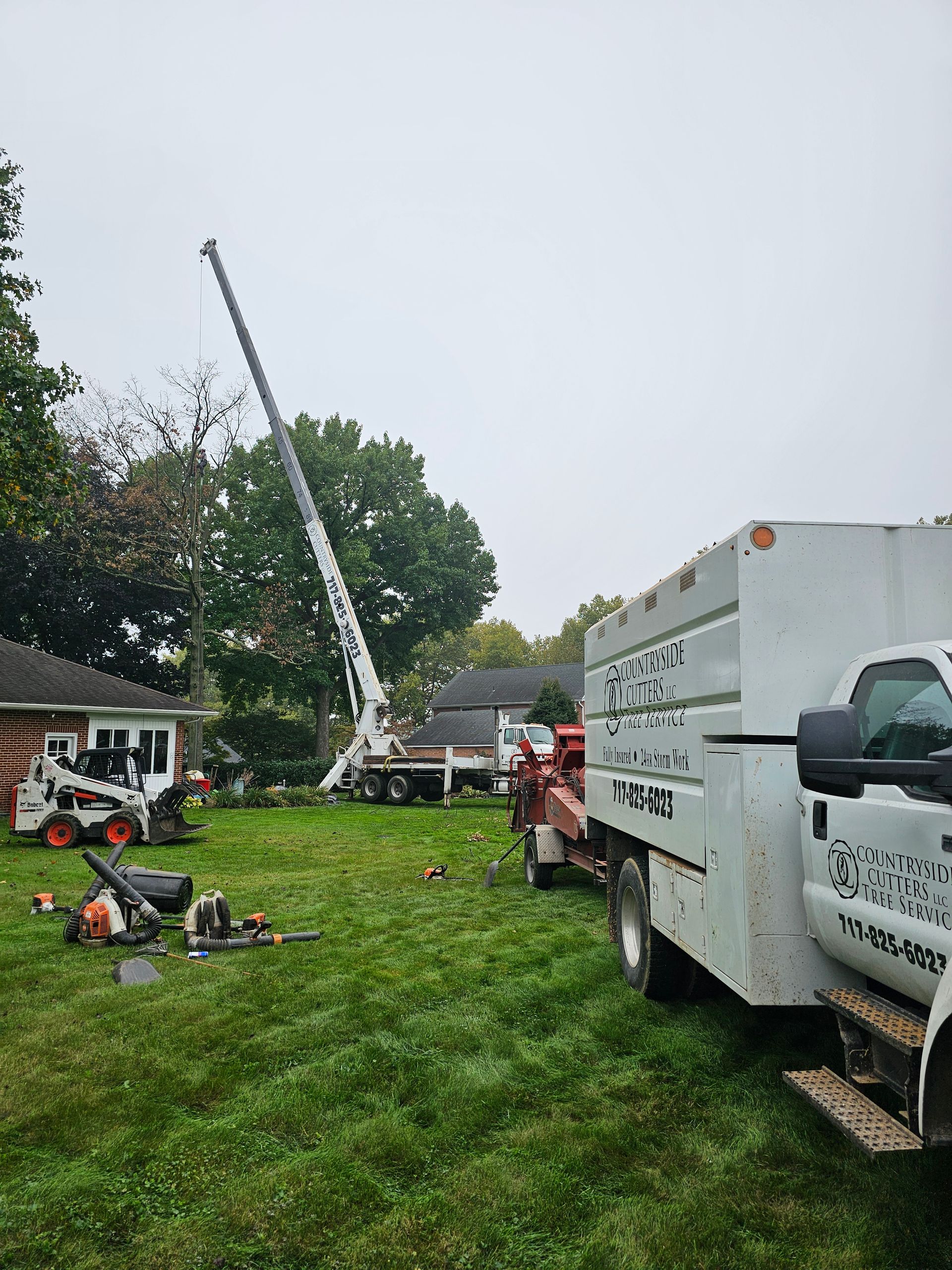 Tree service equipment on a lawn: truck, lift, and Bobcat. A tree is being trimmed. Cloudy sky.