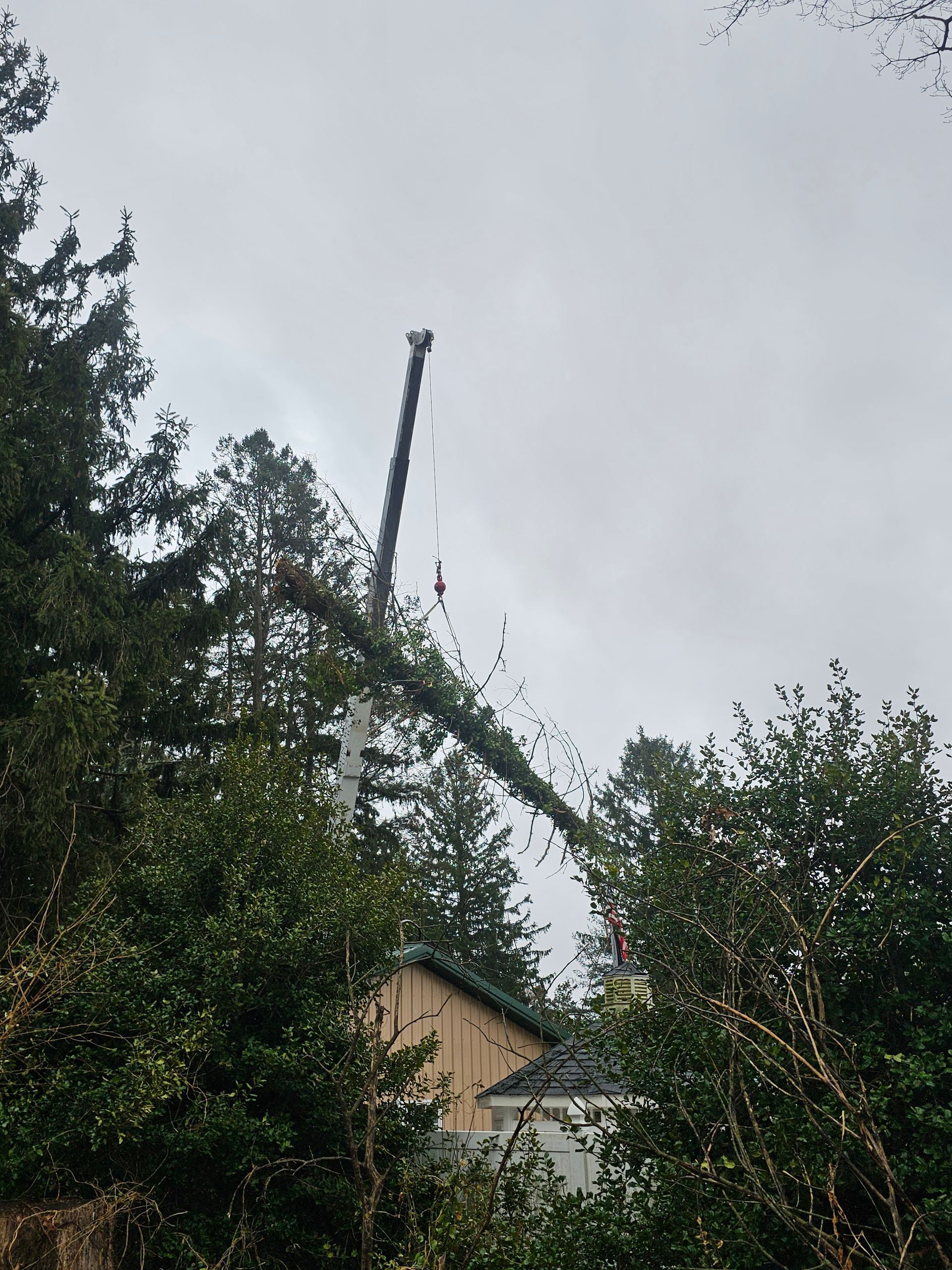 Crane trimming tree branches near a house, against a cloudy sky.