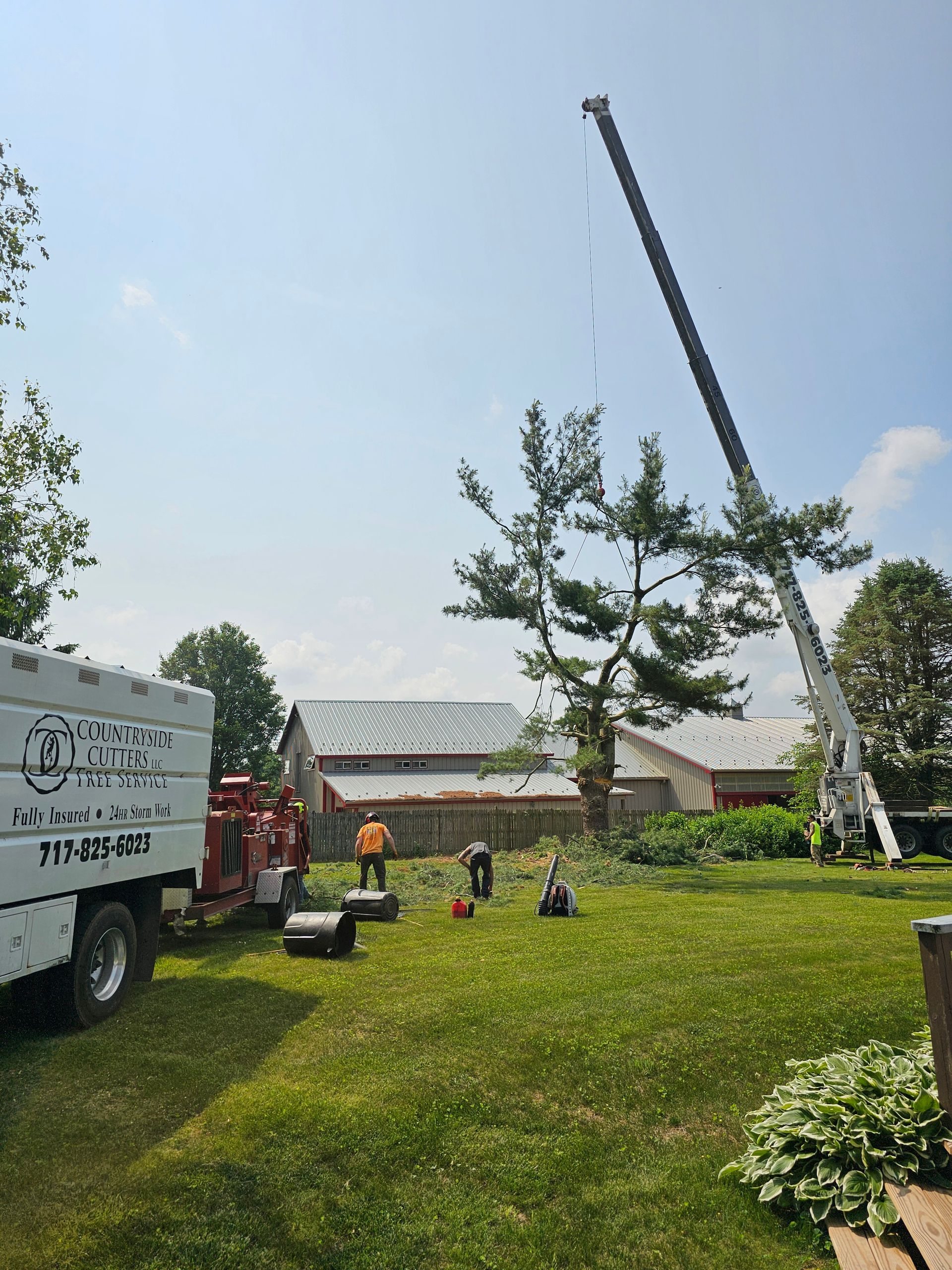 Tree removal service in a yard. A crane and chipper are present. A worker wears an orange vest.