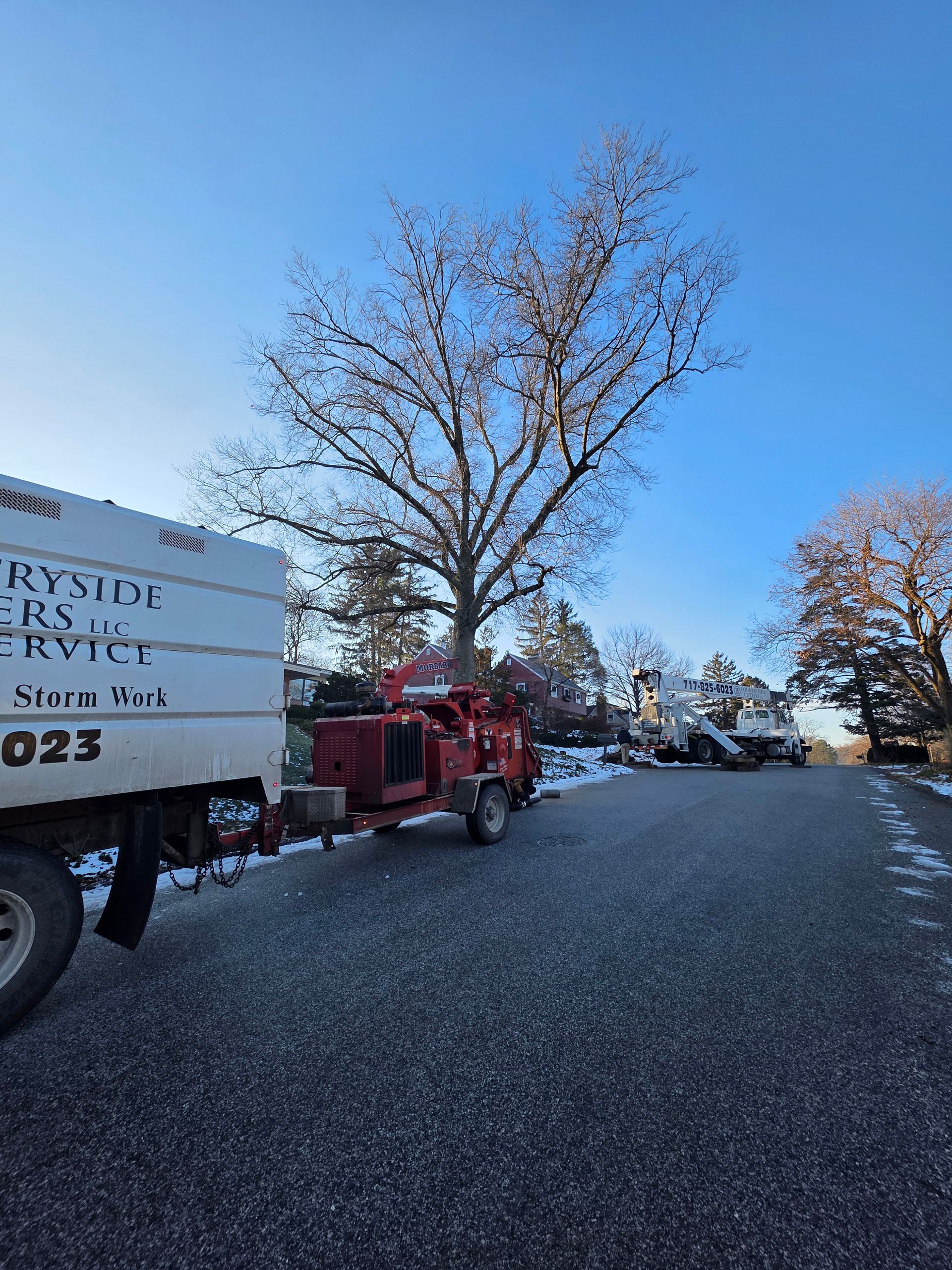 Truck with a wood chipper next to a large tree on a road. Bright blue sky.