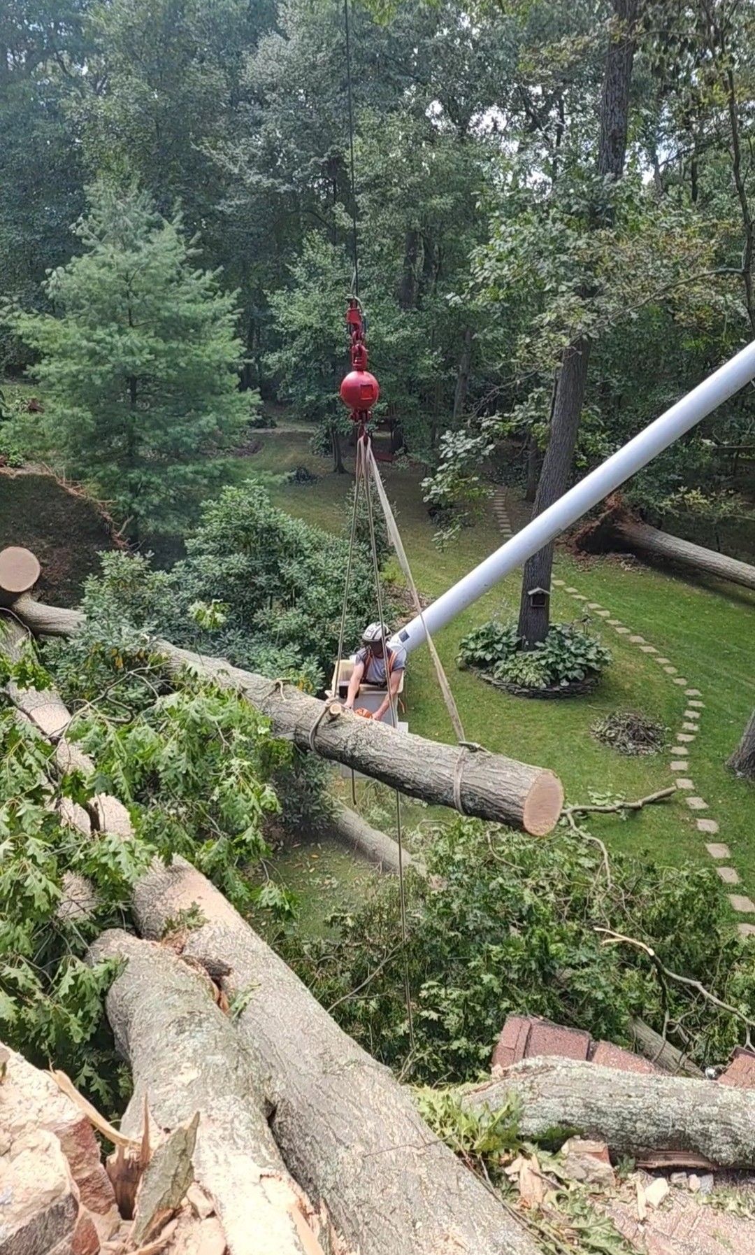 A crane lifting a tree trunk in a yard, surrounded by cut branches and trees.