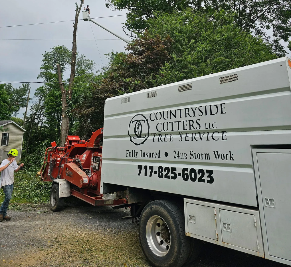 Tree service truck with a wood chipper, worker, and a partially cut tree.