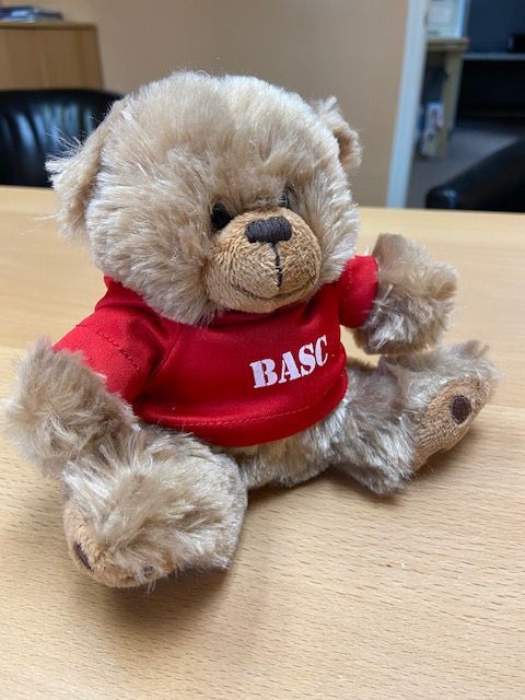 A teddy bear wearing a red shirt that says basc