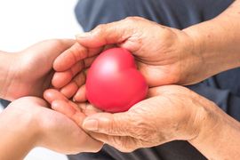 hands of an old lady carrying a toy heart