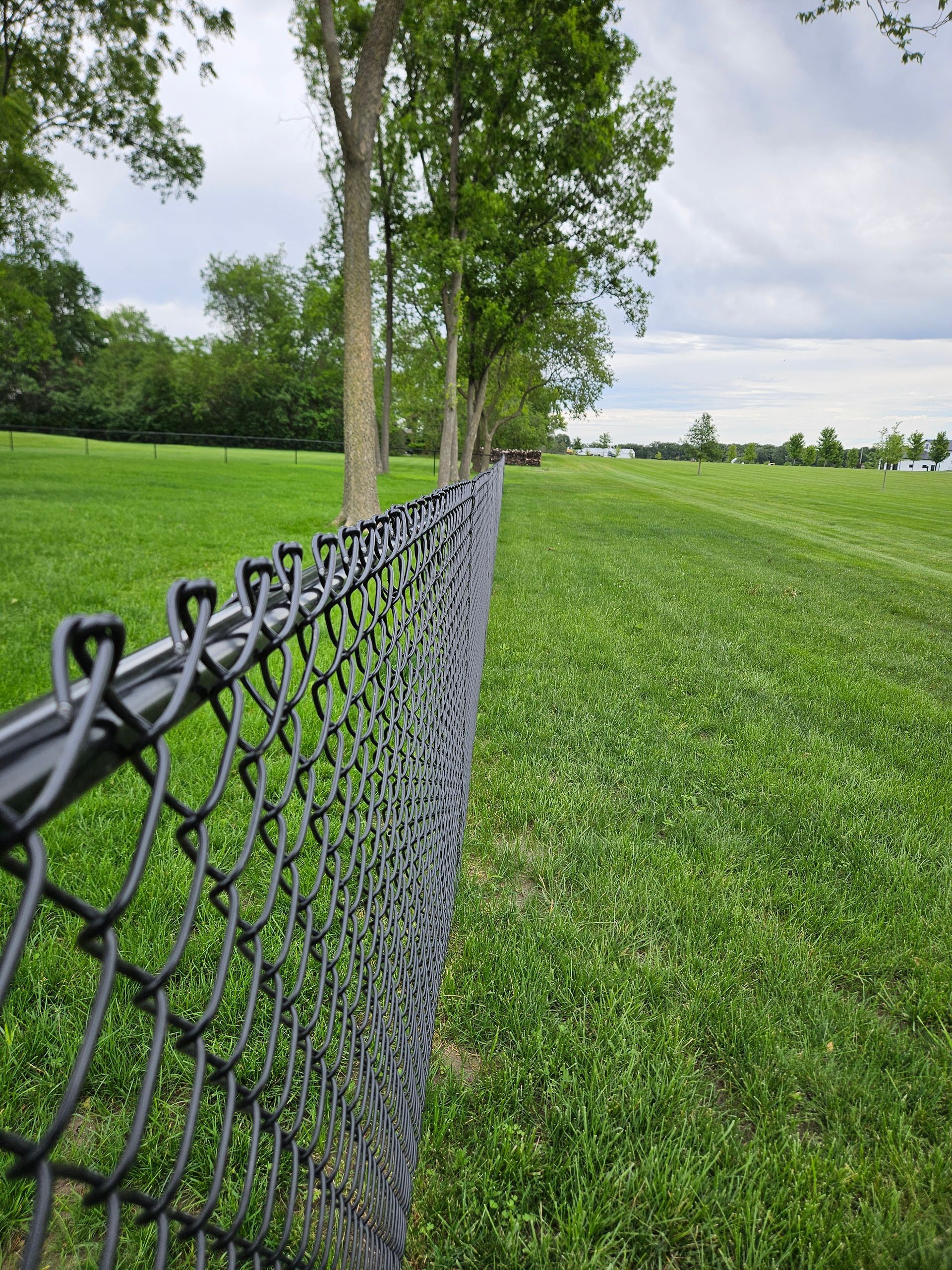 Chain-link fence beside a green grassy field with trees under an overcast sky