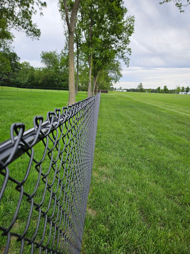 Chain-link fence beside a green grassy field with trees under an overcast sky