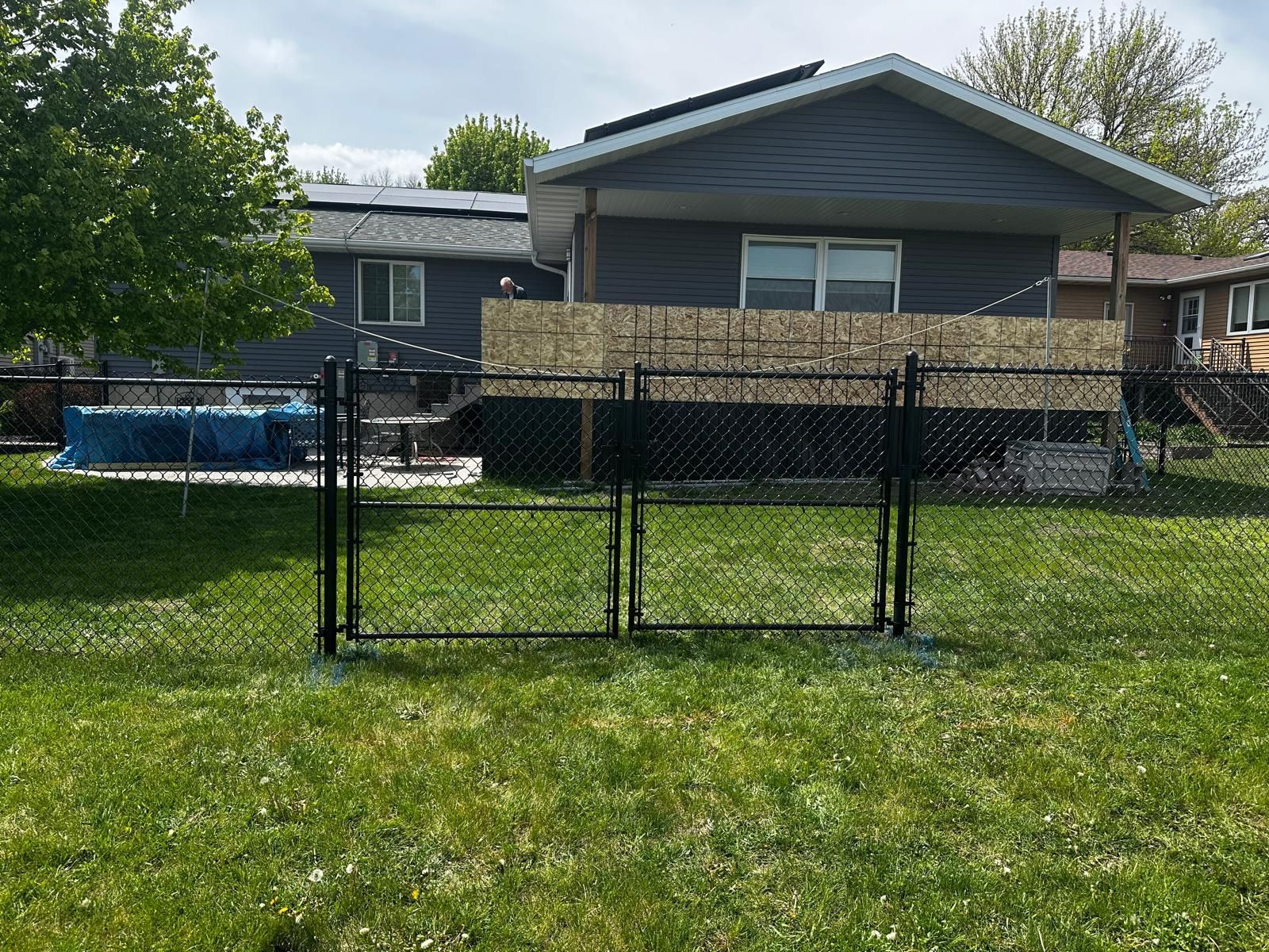 Backyard with a black chain-link pen on a grassy lawn in front of a house