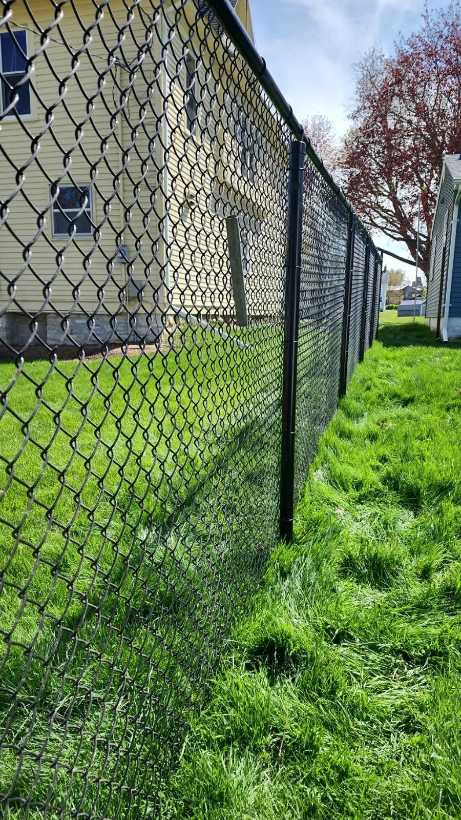 Black chain-link fence beside a beige building, with bright green grass and trees in the background