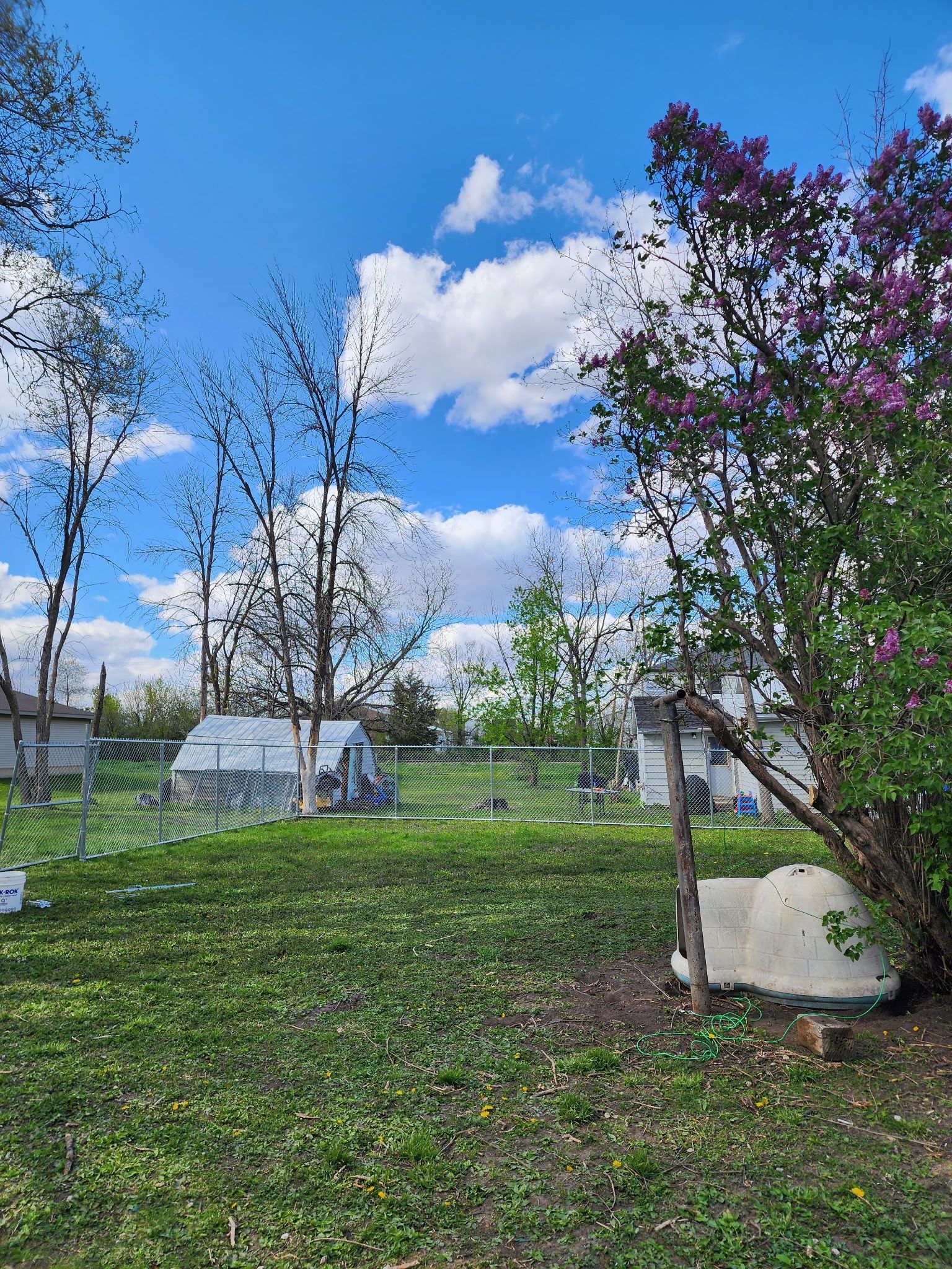 Grassy yard with trees, a small greenhouse, and a bright blue sky with clouds