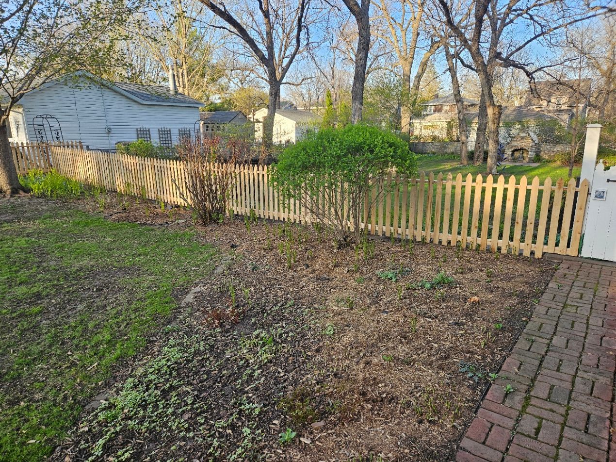 Backyard garden with a wooden picket fence, leafless trees, and a brick path beside a white shed.