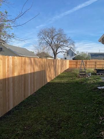 Backyard with a tall wooden privacy fence, grassy yard, and leafless tree under a blue sky