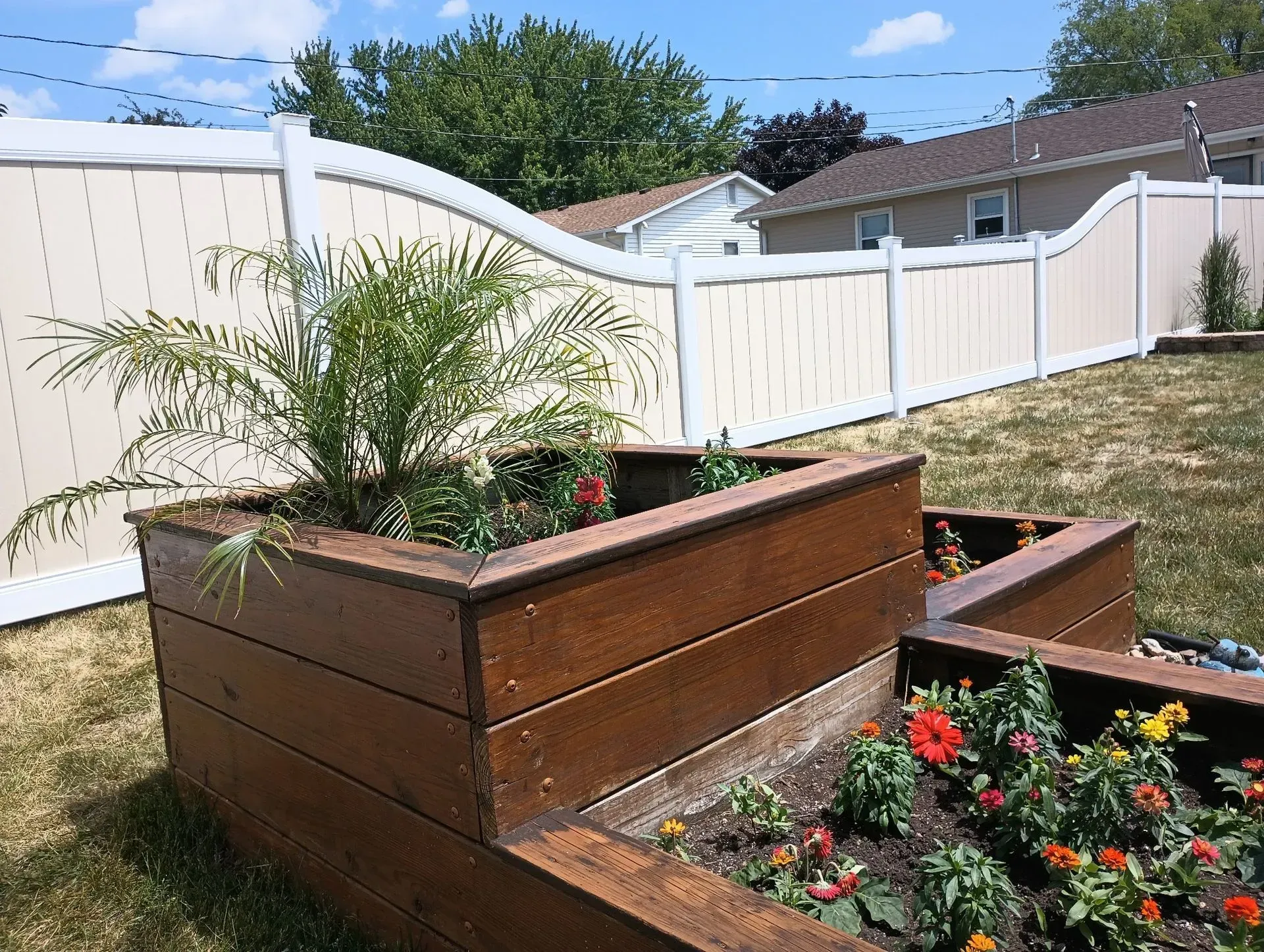 Wooden raised garden beds with flowers and a palm-like plant in a sunny backyard