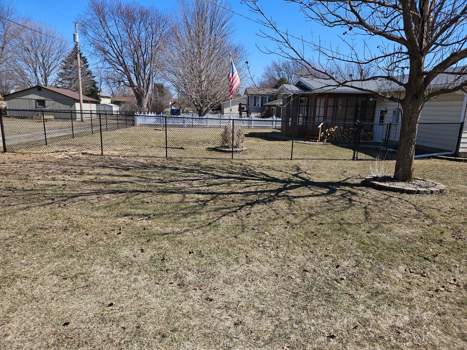 Backyard with leafless trees, chain-link fence, and a small house under a clear blue sky