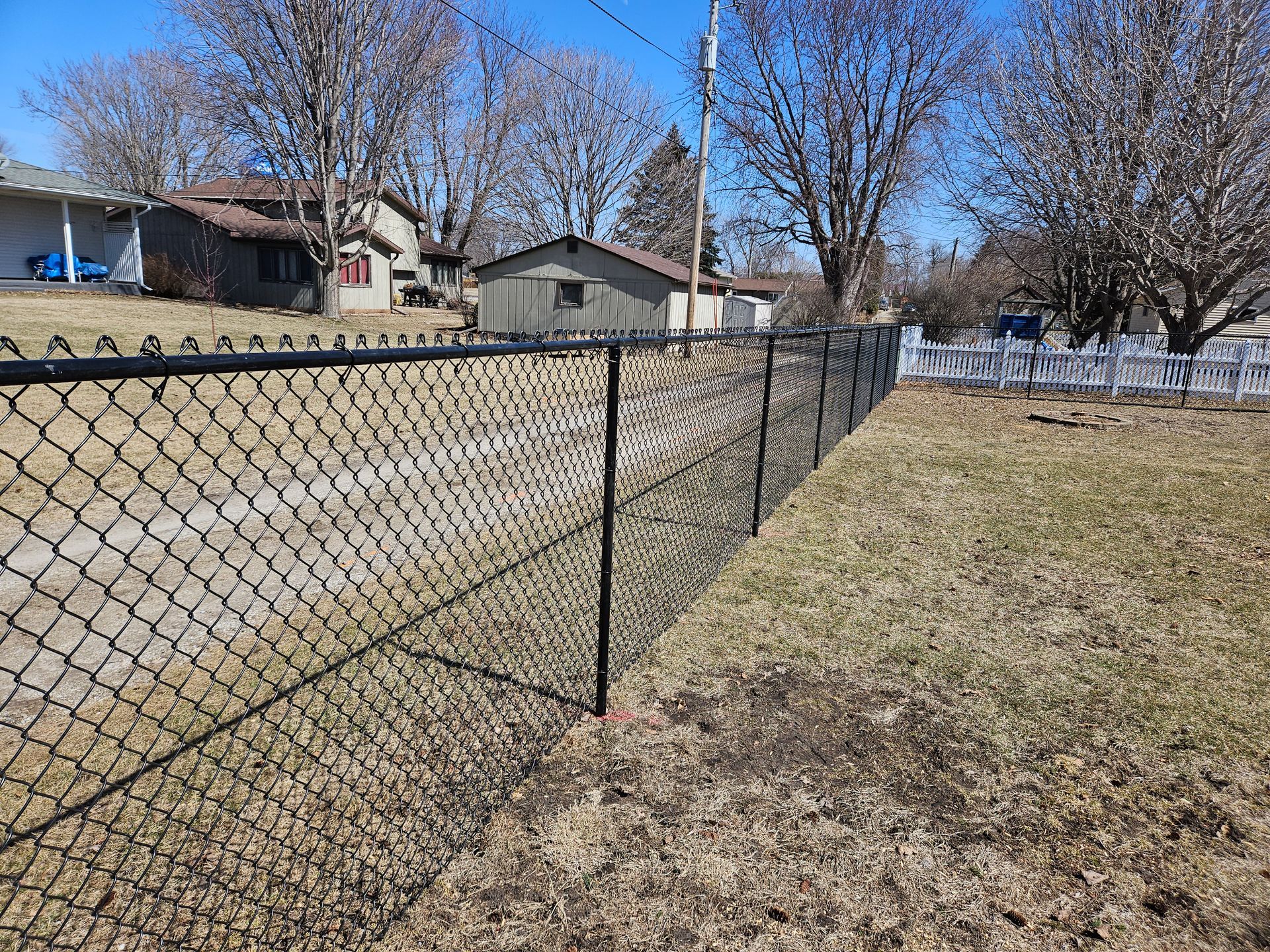 Chain-link fence beside a grassy yard with houses and leafless trees in the background.