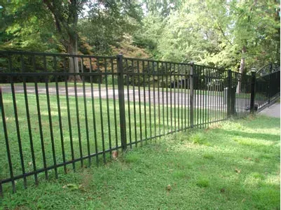 Black metal fence along a grassy yard beside a tree-lined road