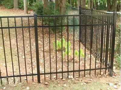Black metal fence enclosing a small patch of plants in a wooded area