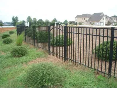 Black metal fence beside a grassy yard with shrubs and houses in the background