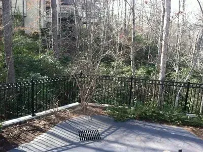 Leafy backyard patio with black metal fence and a drain grate on the concrete floor