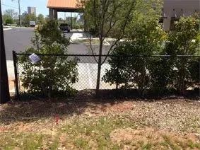Chain-link fence with trees and shrubs beside a parking lot and building.