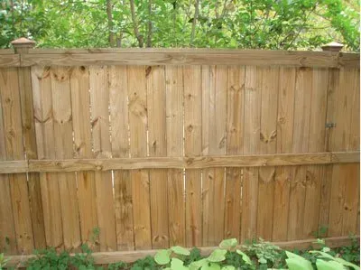 Wooden backyard fence with green foliage above and plants along the bottom edge