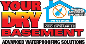 Your Dry Basement - Logo
